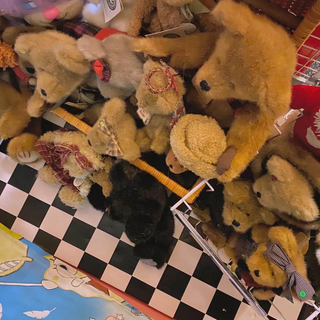 ネオンムーンのインスタグラム：「🐻🐻🐻🐻🐻🐻🐻🐻🐻🐻🐻🐻🐻🐻🐻🐻🐻🐻🐻🐻🐻🐻🐻🐻🐻🐻🐻🐻🐻🐻🐾」