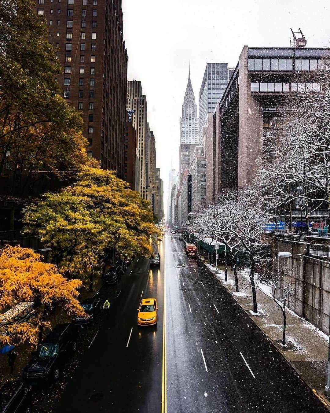 Canon Photographyさんのインスタグラム写真 - (Canon PhotographyInstagram)「What’s your favourite season? ❄️☀️🍂🌷 Photography // @shady_er Curated by @steffeneisenacher  #season #seasonal #newyork #nyc #snowfall」1月29日 8時14分 - cpcollectives
