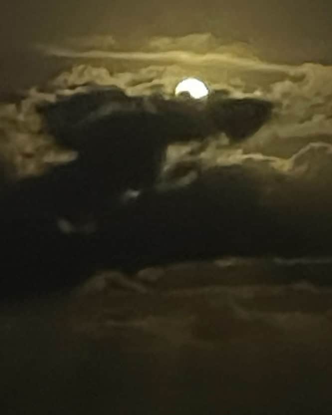 ブルース・ウェーバーさんのインスタグラム写真 - (ブルース・ウェーバーInstagram)「A full Moon over Miami hiding behind a cloud Golden Beach」1月29日 8時46分 - bruce_weber