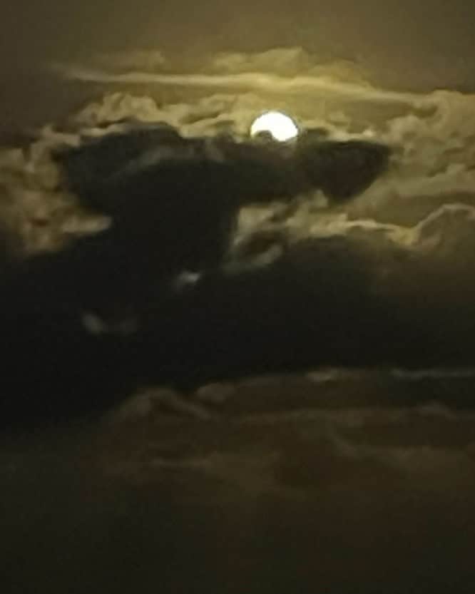 ブルース・ウェーバーのインスタグラム：「A full Moon over Miami hiding behind a cloud Golden Beach」