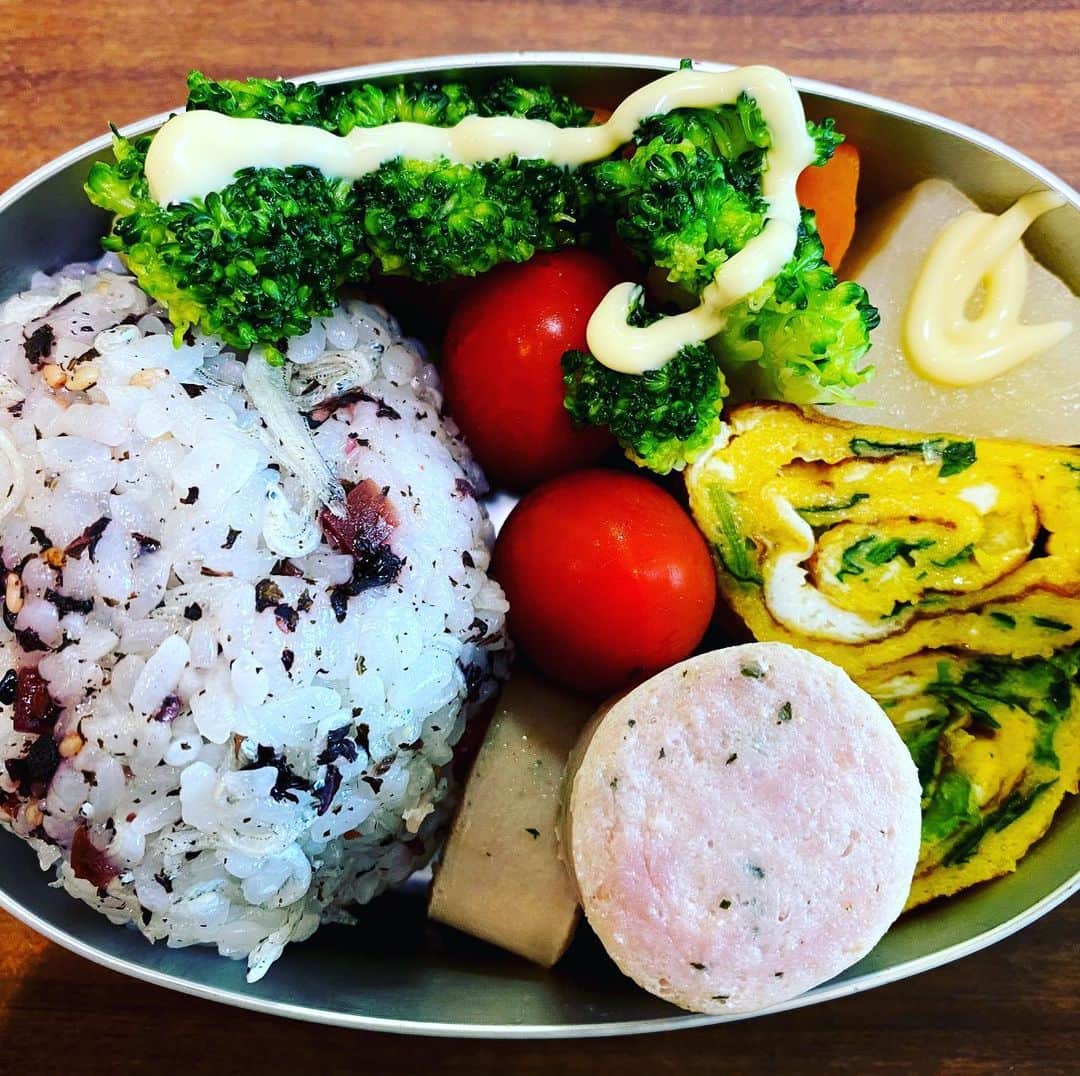 宮崎謙介のインスタグラム：「今日は野菜中心のお弁当ね。栄養には自信あり。卵焼きは焼き目しっかりでうまいことできた。小松菜を炒めて中に入れてます。」