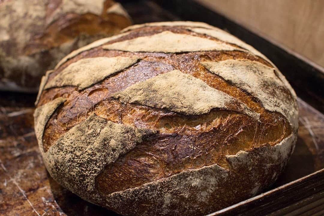 笹塚駅のパン屋さん オパンのグルメインスタ