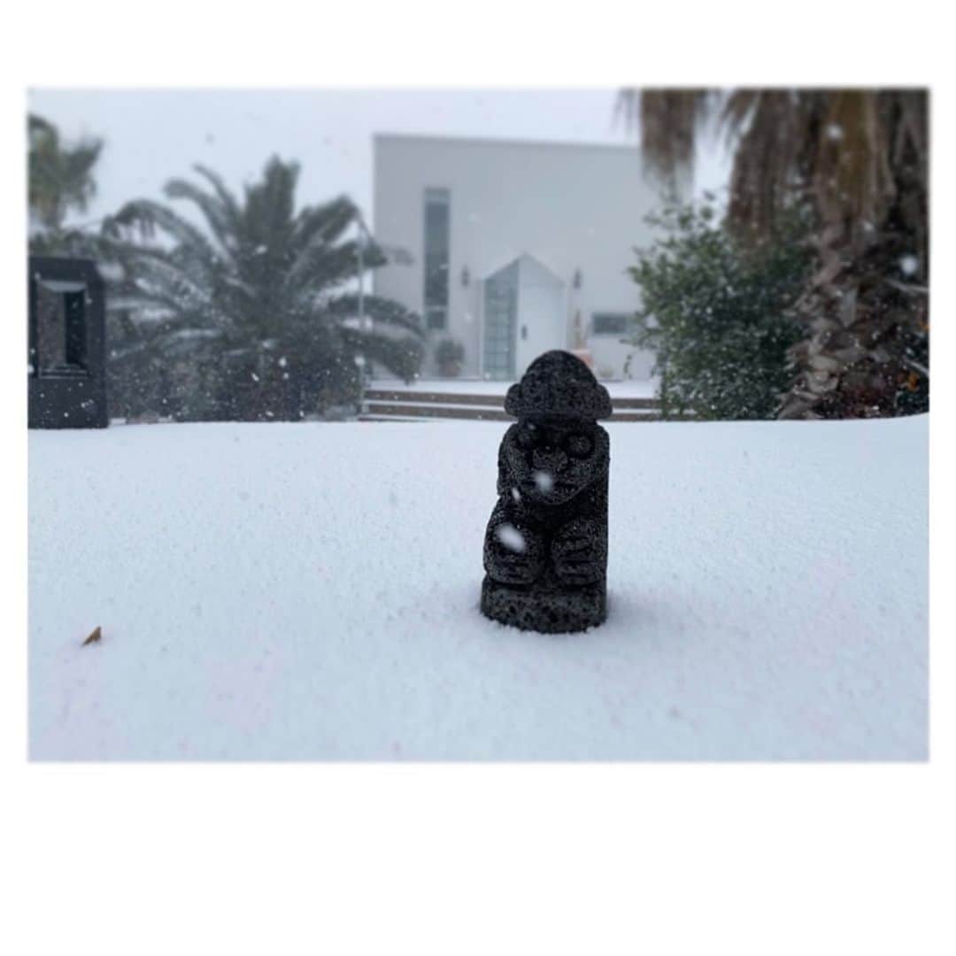 チン・ジェヨンのインスタグラム：「. 눈집게를 샀어야했어 🥲. . . . #진재영_제주지엔느  . .」