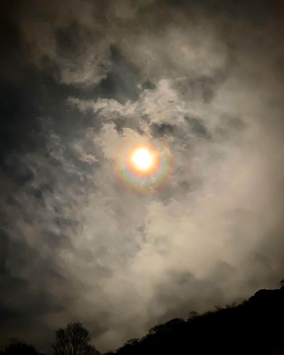 ヒデトレのグルメインスタ