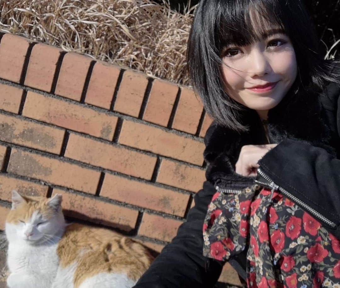 美環のインスタグラム：「撮影現場にぷにぷにぷーちゃんのドッペルゲンガーが現われて…(*´ω`*) 心あたたか🥰🥳🐈」