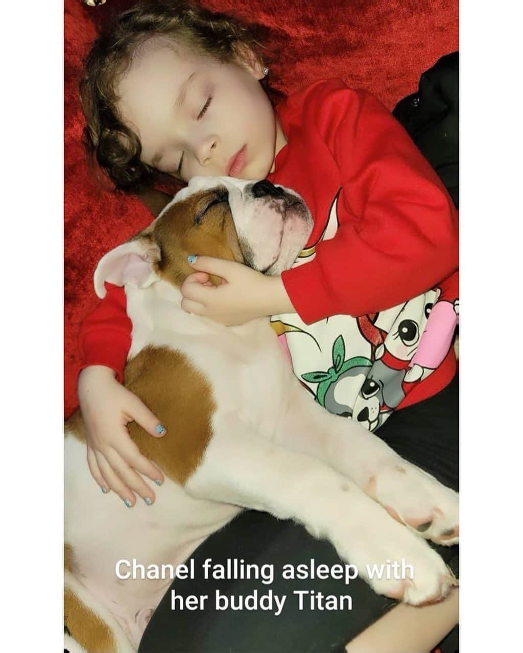 アイス-Tさんのインスタグラム写真 - (アイス-TInstagram)「I think it’s obvious @babychanelnicole loves her new puppy Titan. ❤️」1月29日 1時33分 - icet