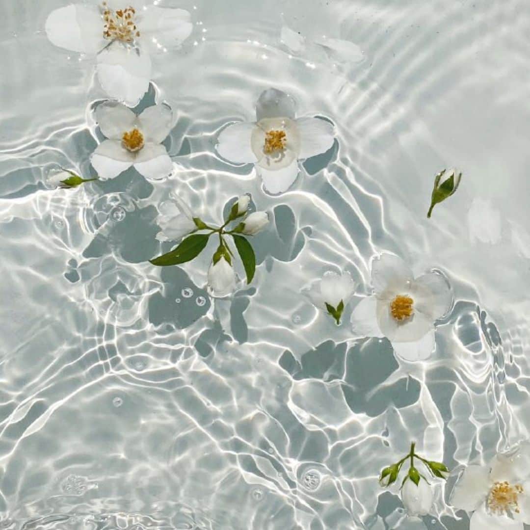 オンダデマーのインスタグラム：「Find magic in the simple things...」