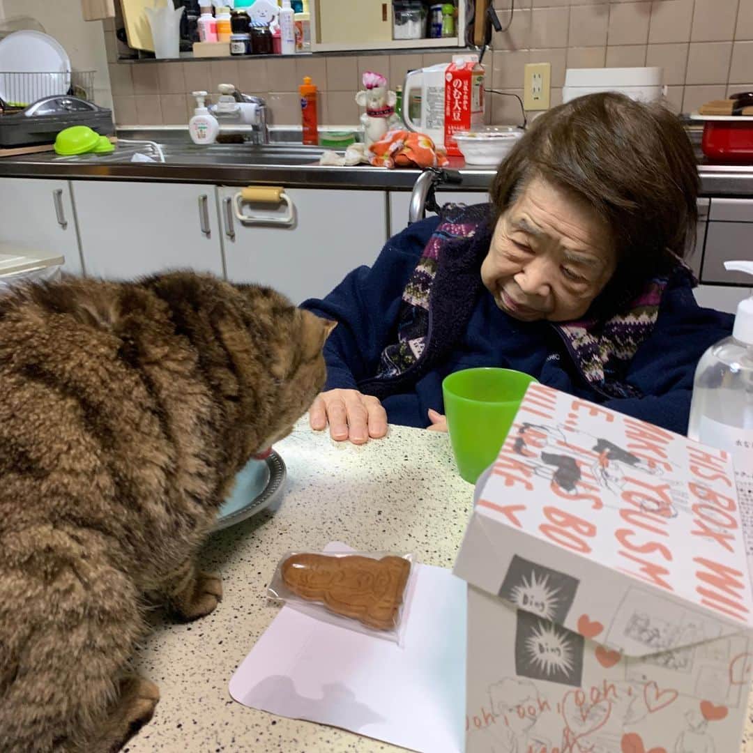 Kachimo Yoshimatsuさんのインスタグラム写真 - (Kachimo YoshimatsuInstagram)「ココちゃん、バーバにカップアイスの残りを少しもらった。 #うちの猫ら #ココア #cocoa #猫 #ねこ #cat #ネコ #catstagram #ネコ部 http://kachimo.exblog.jp」1月29日 2時10分 - kachimo