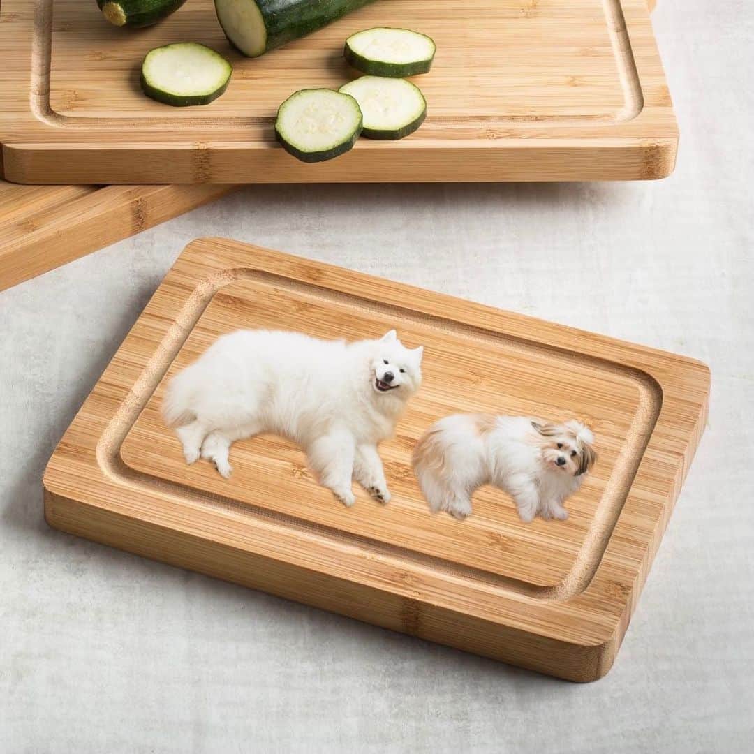 Loki the Corgiさんのインスタグラム写真 - (Loki the CorgiInstagram)「I just realized our floors look like a cutting board and now I can’t unsee it 🙈 HELP」1月29日 9時45分 - lokistagram