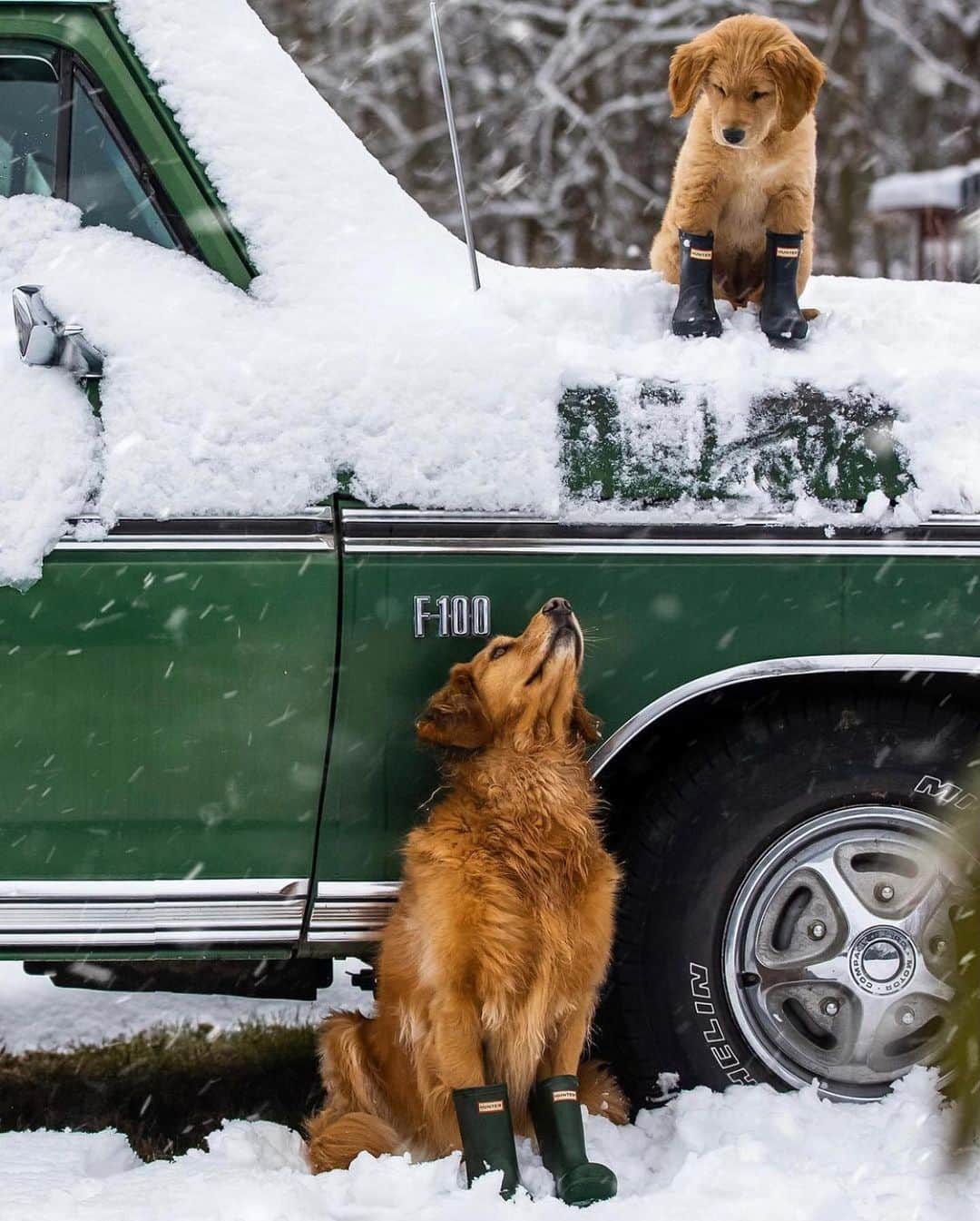 FOLKのインスタグラム：「Mentally where are you? I’m with the pups. Today’s favorites are: 1.) @kjp 2.) @josefwittibschlager 3.) @cfunk44 4.) @_marcelsiebert 5.) @chelseamealo 6.) @marvin_walter 7.) @dirtandglass」