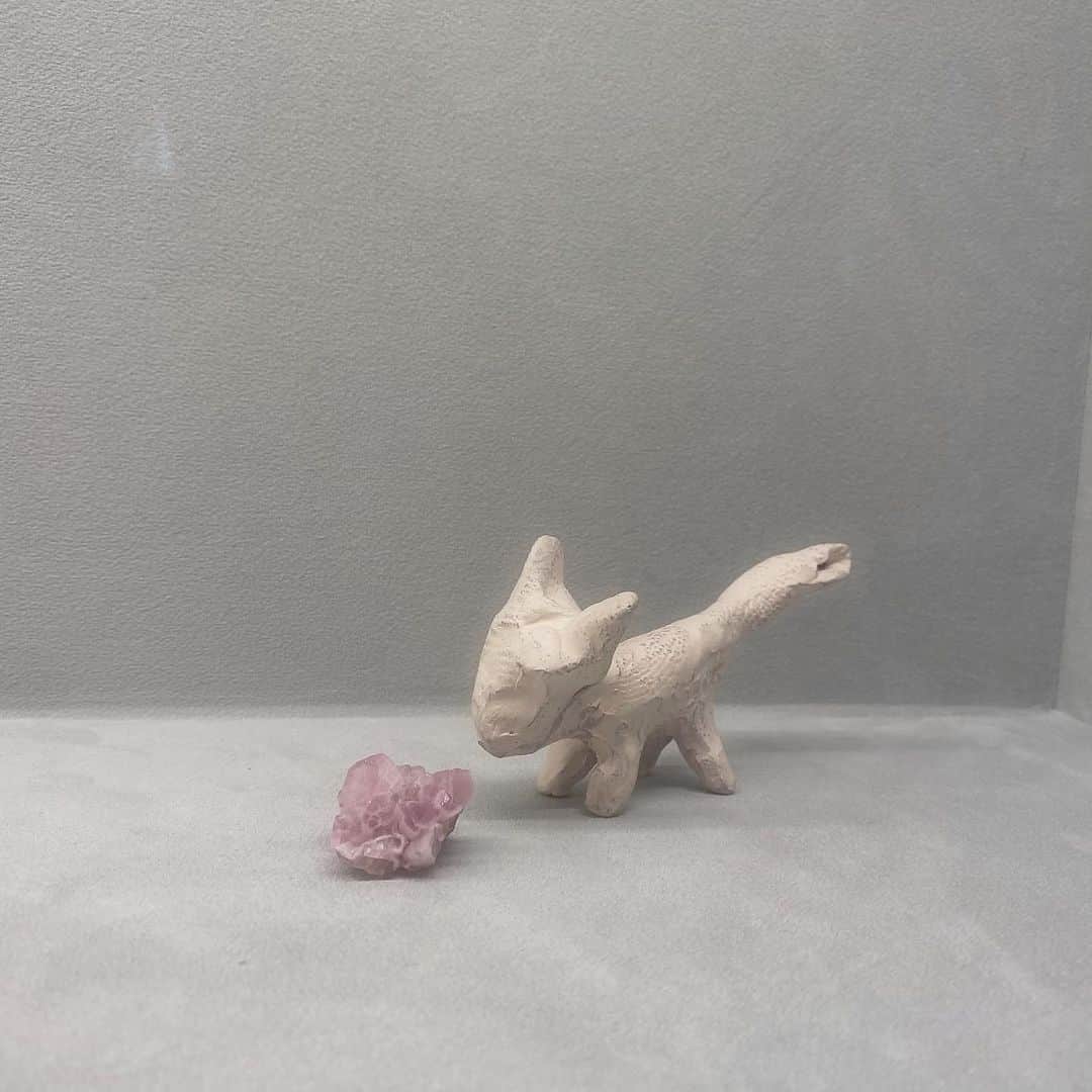 のインスタグラム：「𑁍 𓃥」