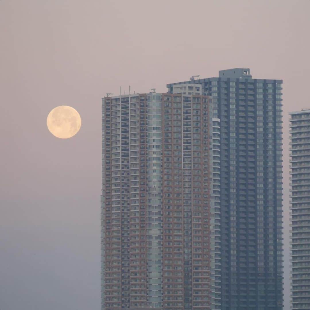 のインスタグラム：「AM6:45🌕 #fullmoon #morningfullmoon #ウルフムーン #朝の満月 #朝の月 #満月 #満月の朝 #🌕」