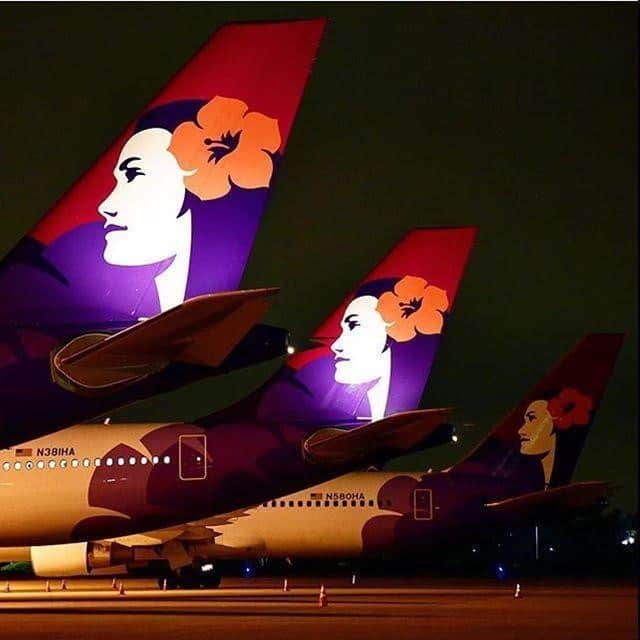 のインスタグラム：「Happy #AlohaFriday ! 夜はスポットライトを浴びています✨✨✨  📷 @officialaviation  #ハワイの風景 #ハワイに行きたい #ハワイ好きな人と繋がりたい #飛行機好きな人と繋がりたい #ハワイアン航空 #HawaiianAirlines #Pualani 🌺」