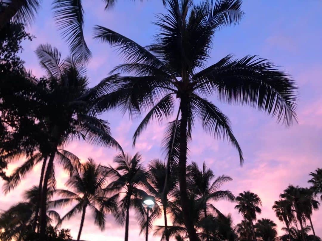 石川恋さんのインスタグラム写真 - (石川恋Instagram)「#RenTrip #Hawaii #2018 続き🌻 ダイビング初体験🤿 まさか翌年に#ぐらんぶる の 撮影に参加することになるなんて！ 縁を感じました。 ライセンスもゲットしたので また潜りに行きたいな🐢」1月29日 18時54分 - ren_ishikawa