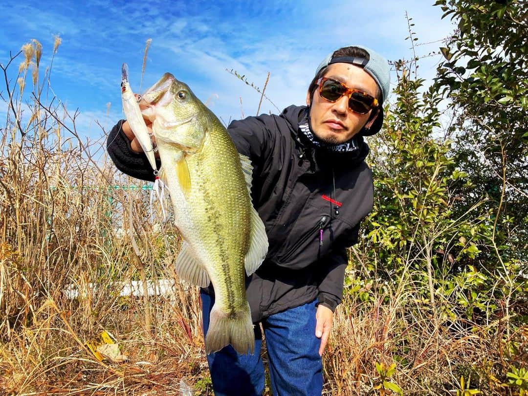 HASSYのインスタグラム