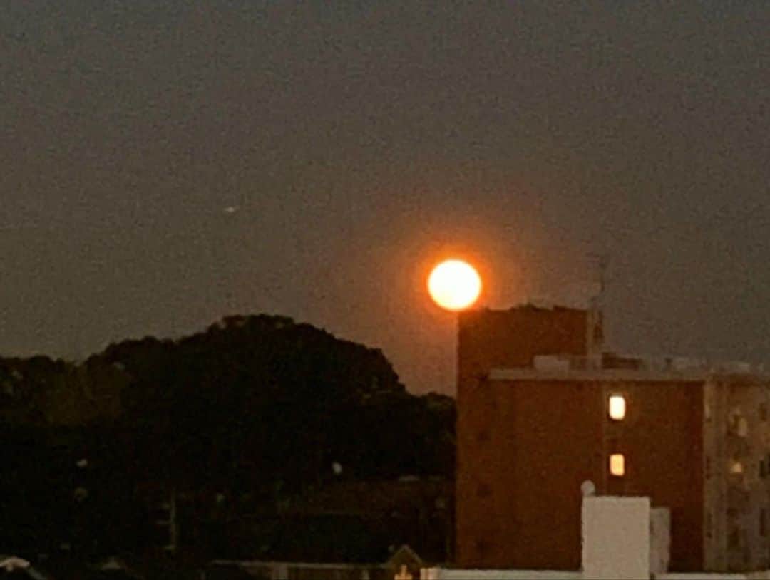 前川泰之さんのインスタグラム写真 - (前川泰之Instagram)「A  beautiful full moon with  the Bay bridge🌕✨ 上がってすぐは大きくて紅くて神秘的‼️ 月見酒でもするかな🤤  #満月　#fullmoon #baybridge #神秘的」1月29日 17時57分 - maekawa_yasuyuki_official