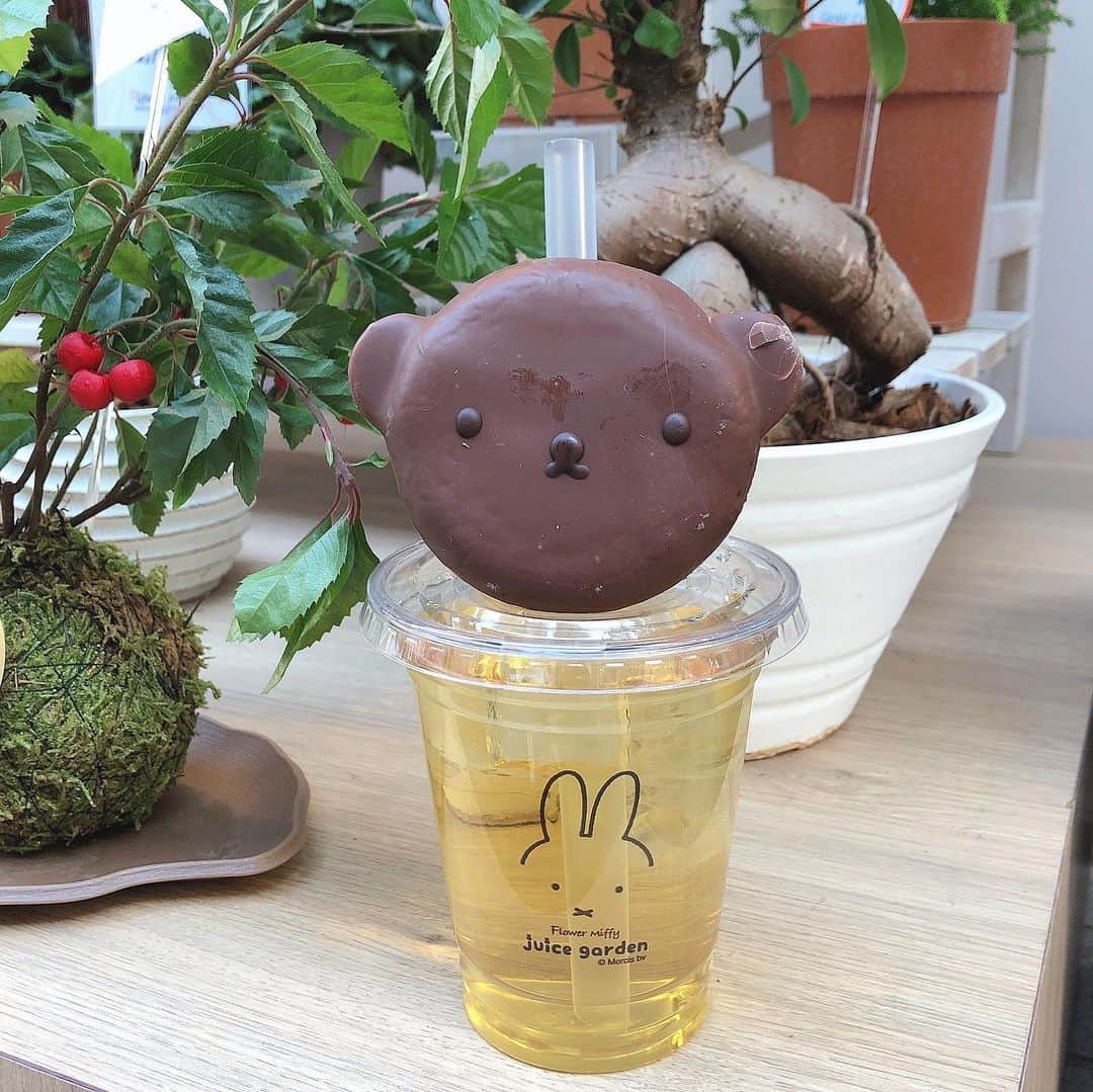のインスタグラム：「． ★#浅草カフェ ★  去年#浅草 に行った時に寄った  #flowermiffy 🐰🐰🐰 @flower_miffy_official  ここは#テイクアウト のみと 雑貨のお店💓  #ボリス くんの#ドーナツ 可愛い🐻  今度はいつ浅草行けるかなー😅 春か夏前にはまた行きたいな♪  #ミッフィー #ミッフィー好き  #ミッフィー好きと繋がりたい  #ミッフィーカフェ  #ミッフィーちゃん #浅草グルメ  #asakusa #asakusacafe  #浅草観光 #アップルジュース  #インスタ映え#インスタ探検隊  #インスタフード #テイクアウトグルメ  #テイクアウト専門店  #miffy#miffylover  #ミッフィーちゃん #takeout #takeoutfood #takeoutcafe  #takeoutday #ドーナツ」