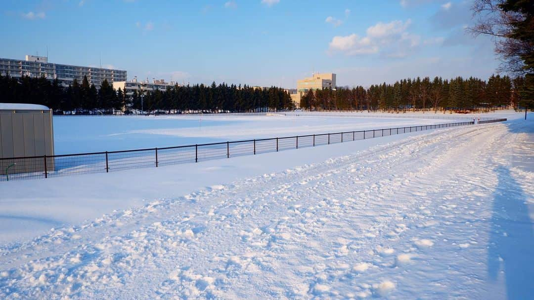 コンサドーレ札幌さんのインスタグラム写真 - (コンサドーレ札幌Instagram)「.......... 厚別公園で撮った写真です  すっかり雪に埋もれてしまってますが、公園ではわんちゃんとお散歩をしたり、クロスカントリースキーをしている方がいました🎿  北海道の冬は楽しみが色々あっていいですよね⛄️ みなさんは冬どんなことをして過ごしますか？😊  #Ｊリーグ #jleague #consadole #コンサドーレ #札幌 #北海道 #雪景色 #カメラ散歩 #雪 #snow #サッカークラブ #厚別公園競技場 #厚別公園 #自然」1月29日 18時33分 - hokkaido_consadole_sapporo