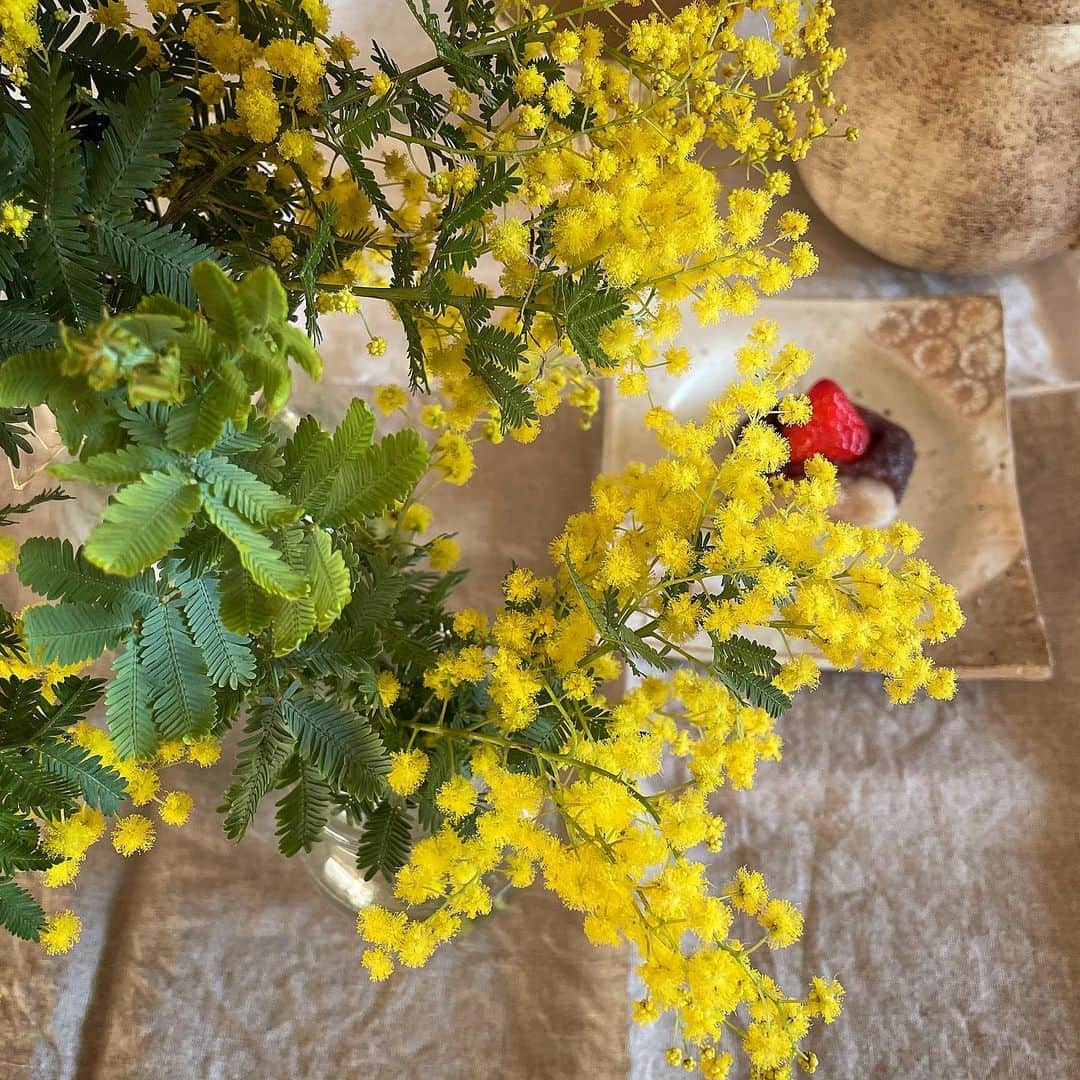 ecruのインスタグラム