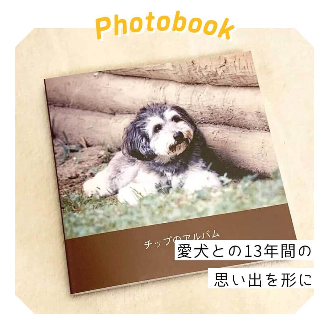 しまうまプリント【公式】フォトブック無料企画開催中のインスタグラム
