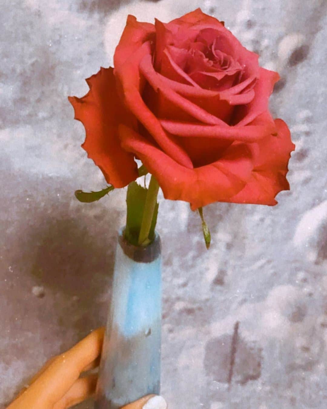 REGSTYLEのインスタグラム：「I always Google the flower language🌹✨」