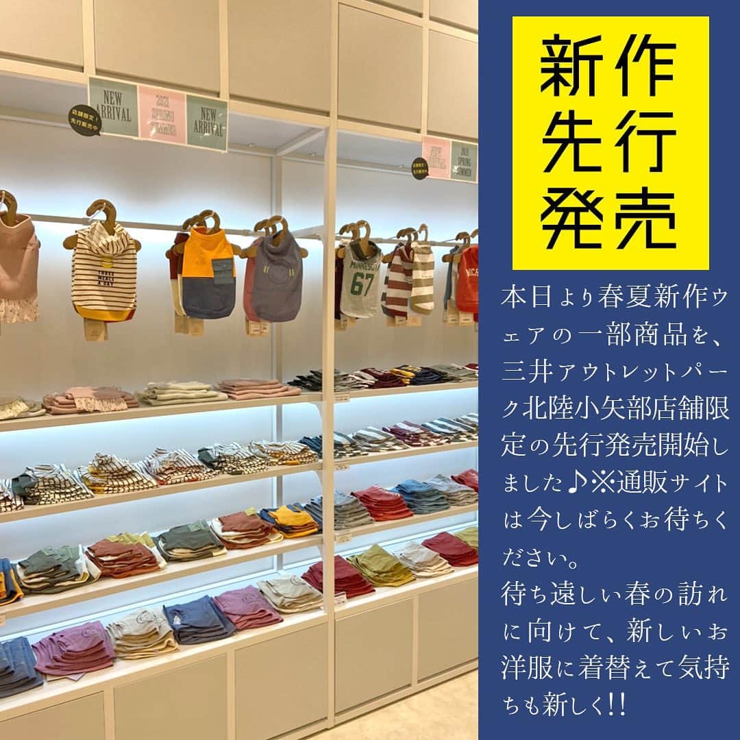 iDog&iCatのグルメインスタ