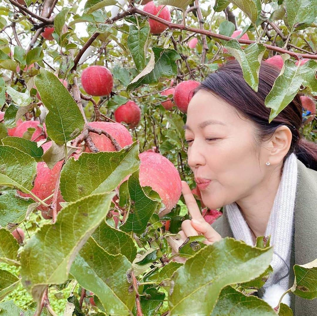 羽田美智子さんのインスタグラム写真 - (羽田美智子Instagram)「長野県中野市さんとご縁をいただいて、一緒に農を考える取り組みをさせていただいているのですが🍄  昨年もそうでしたが、市庁舎を訪ねると、、職員さん達が花道を作ってくださって‼️‼️ 昨年はもっと距離が近くだったのですが、今年は静かに拍手をして出迎えてくださいました👏 感激しちゃいます😭 泣きそうになります😭  中野市って本当に素敵な町なんです。 山の日当たりの良い斜面にブドウ畑🍇やリンゴ畑🍎が広がり、スイスを思わせるような景観です⛰️  名物はえのきだけを中心としたきのこ類と果物。 信州牛、信州みそ、栗など。  一緒に農を考える番組もできちゃいました！  「農」を売れ！～女優・羽田美智子と挑む中野市の戦略～  放送は１月３０日（土）１３時５５分～１４時２５分  NBS長野放送です！  農業はこれからもっと大切にされ、注目される産業だと思います。 信州エリアにいらっしゃる皆様、ご覧いただけたら嬉しいです😌🌸💕 #羽田甚商店 #中野市」1月29日 11時04分 - michikohada