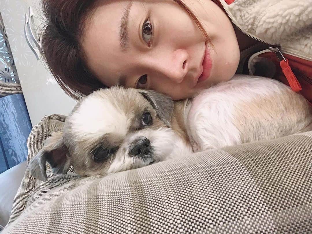 チャ・ミンジのインスタグラム：「우리집 왕자님❤️  사랑해❤️  #반려견#사지마세요입양하세요」