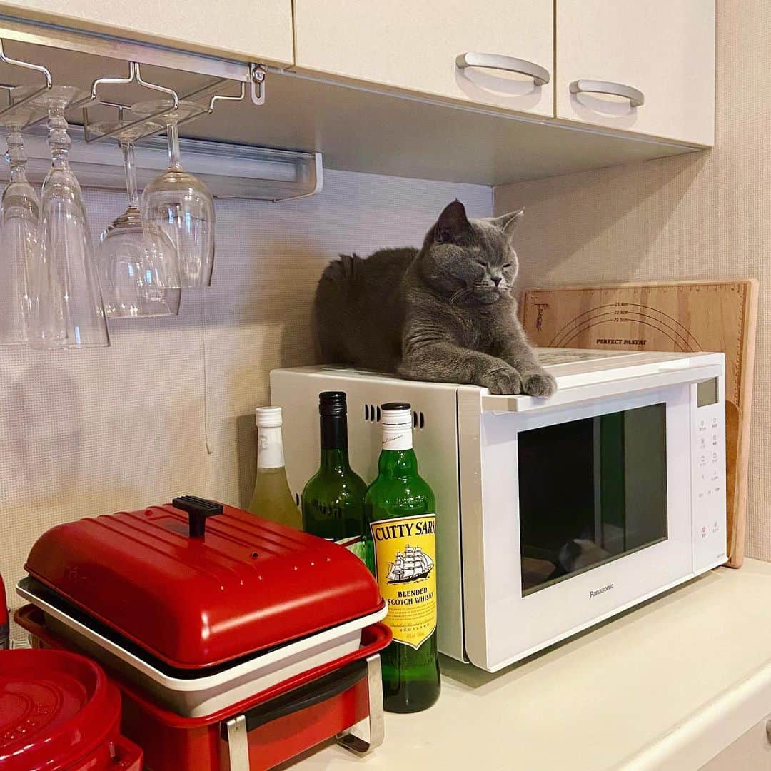 小鳥遊しほさんのインスタグラム写真 - (小鳥遊しほInstagram)「#インテリア紹介 オーブンレンジちゃんを新しくしたー！家電って突如壊れたりするのほんとこわいよね😂笑　10年使った子が召されたので悩みに悩んでこの子を迎え入れたー！！！  PanasonicのNE-FS300-W🔌 真っ白真四角にシンプルな文字盤。 容量23Lでチャイルドロック機能もついてる👶 値段も3万円以下なのでお手頃価格！！ (最近の1番高いのって15万とかするんだね！笑)  今までのはスチームとか色々機能ついてたんだけど、全く使わないことがわかったので今回は機能もシンプルに。笑  うちの白ベースのキッチンに白いレンジちゃんがきて、赤のポイントが映えるスタイリングになりました🥰  今は賃貸でベースの雰囲気が決まっちゃってるけど、いつか家買ったりリノベ物件にしたらもっとあったかめかポップな雰囲気にするのが理想ー！❤️ 家がすきーーー インテリアすきーーー 後半2枚は書斎とリビング🏠  #インテリア #オーブンレンジ #電子レンジ #家電 #Panasonic #家づくり #賃貸インテリア #人工芝」1月29日 11時48分 - shihotakanashi