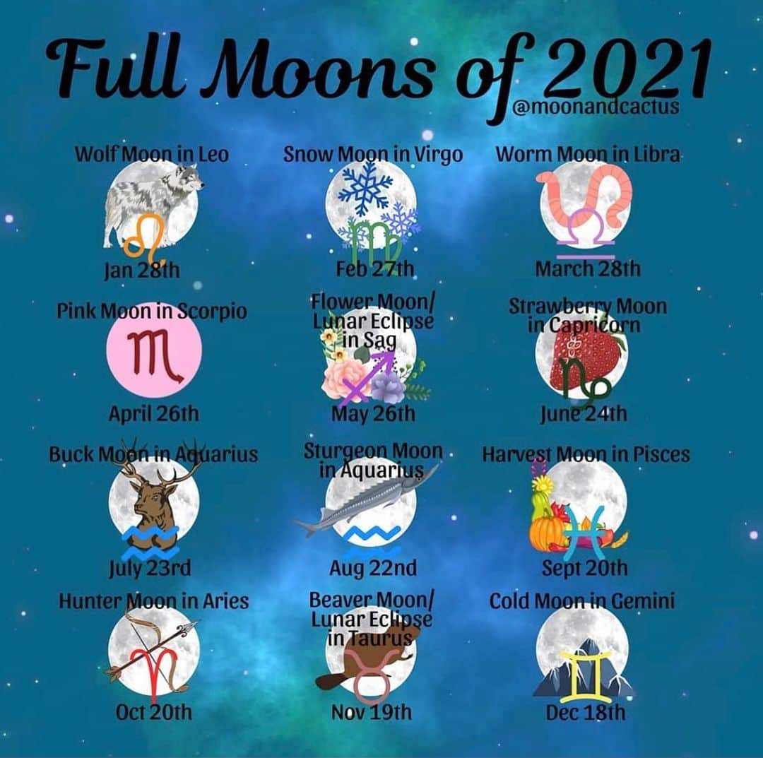 サマンサ・グラドヴィルのインスタグラム：「Happy first #FullMoon of 2021! 🐺 We know the ocean tide is caused by the moon, and with our bodies being made of up to 60% water- how can you say we are not affected by the moon as well? 🌝🙏 #asabovesobelow #fullmoon2021 #wolfmoon」