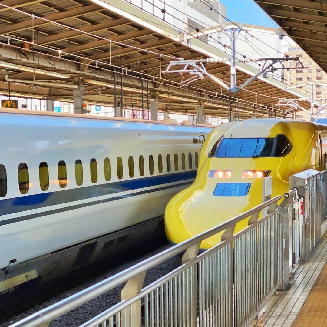 本間将人さんのインスタグラム写真 - (本間将人Instagram)「さて名古屋へ🚅  #Dr.yellow」1月29日 12時07分 - paul_masato