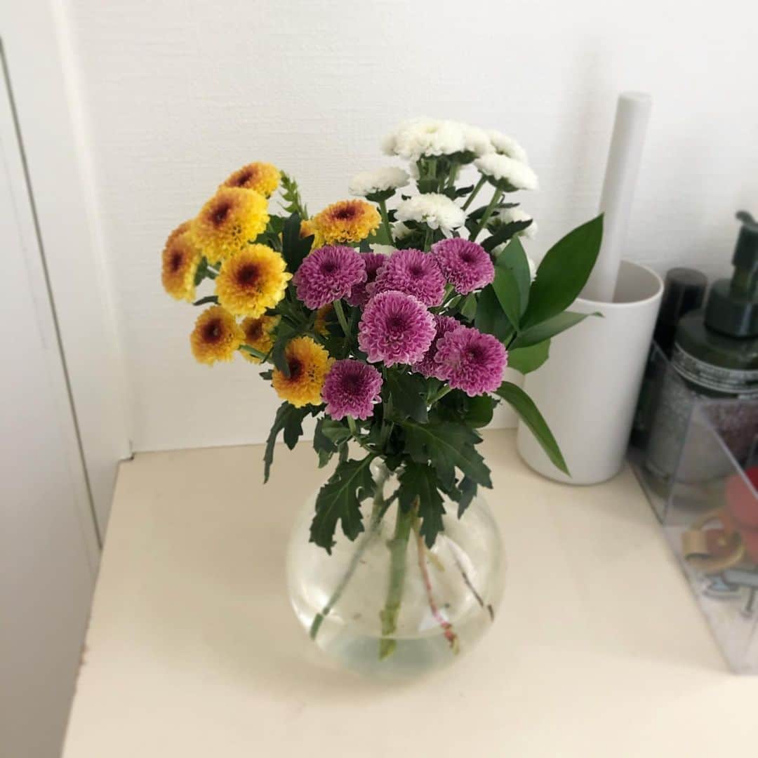 馬渕史香のインスタグラム：「今年も届いてます @flowr_is   新年1回目に届いたのはスプレーマムという洋菊のブーケ 年明けにぴったりな華やかさ  まだまだお花は咲いてるけど、もうすぐ次のが届く頃🌷  今年からサービス内容がちょっと変わる？変わった？みたいで、↓の招待コード入力で割引で始められますのでよろしければどうぞ  招待コード：B8GL  #あしざわ家 #ずぼら主婦  #赤ちゃんのいる生活  #お花のある生活 #flower #flower_is #お花の定期便 #お花便　#サブスク #サブスクリプション」