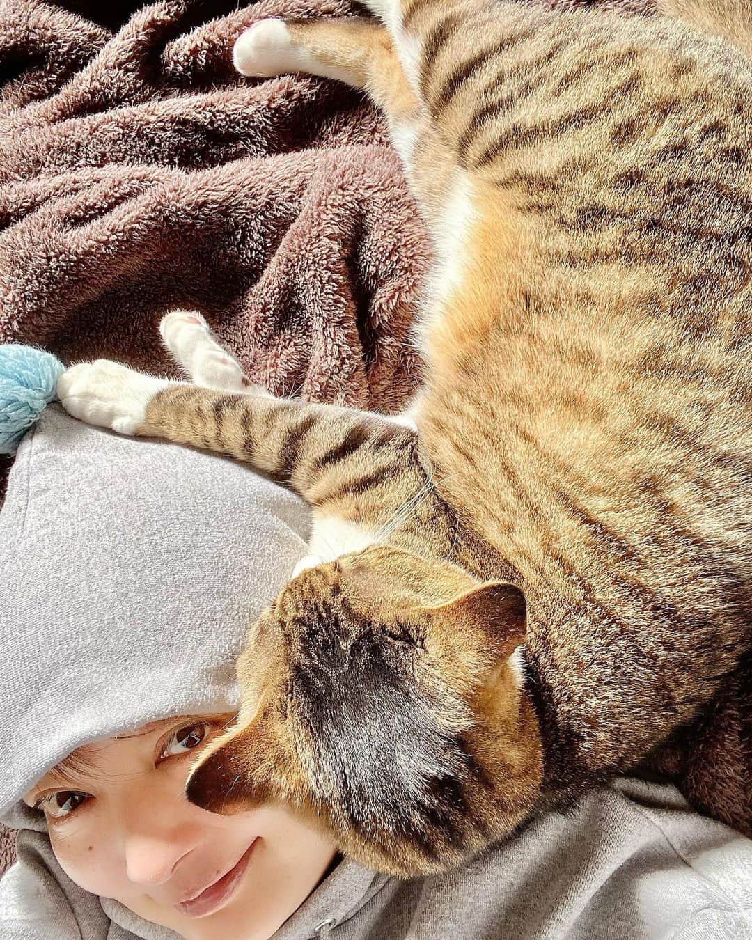 野本かりあのインスタグラム：「ルカと日向ぼっこ。 幸せなひととき🐈 耳元にルカのゴロゴロが凄いよく聞こえるよ。 #lukarly #catsofinstagram #にゃんすたぐらむ」