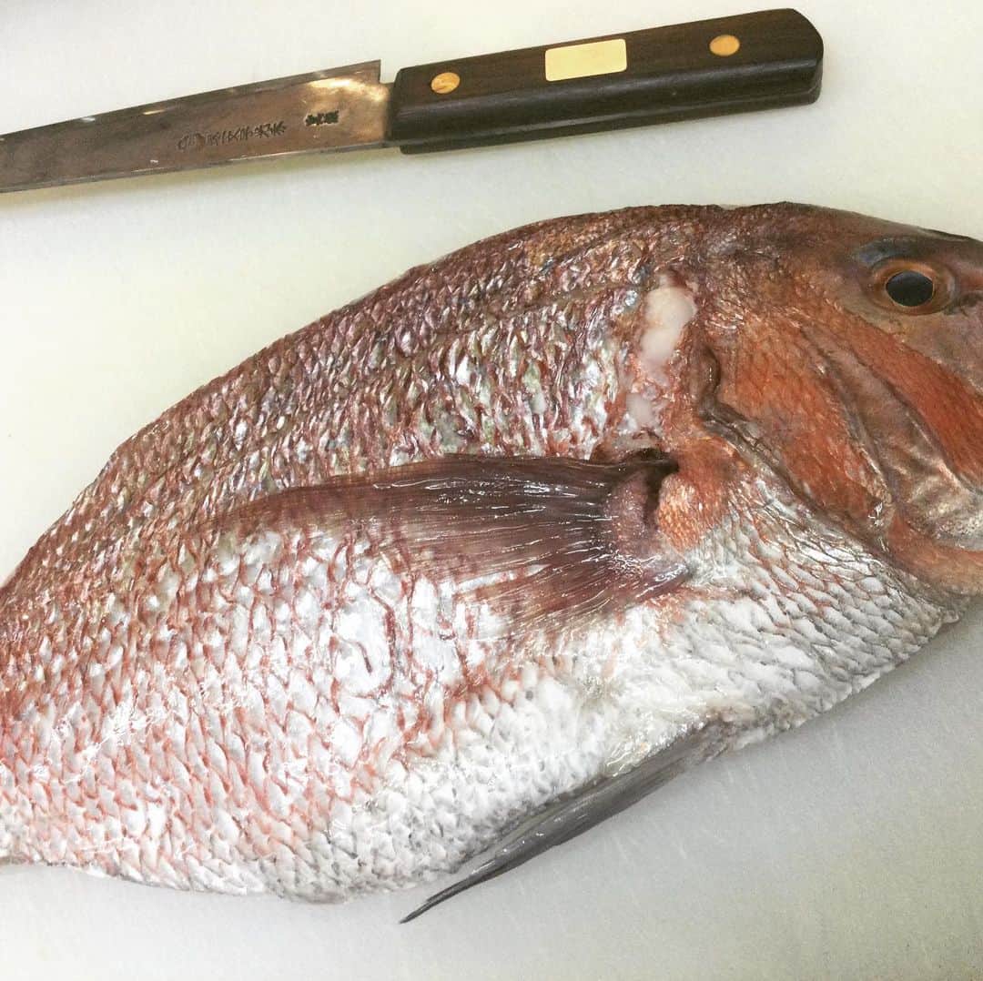 知床漁場 吹田店のグルメインスタ