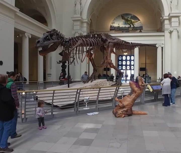 9GAGさんのインスタグラム写真 - (9GAGInstagram)「NOOOOO! What did they do to you!?⠀ 📸 AnnyPopenny (TW)⠀ -⠀ #dinosaur #trex #museum #9gag」1月29日 19時00分 - 9gag