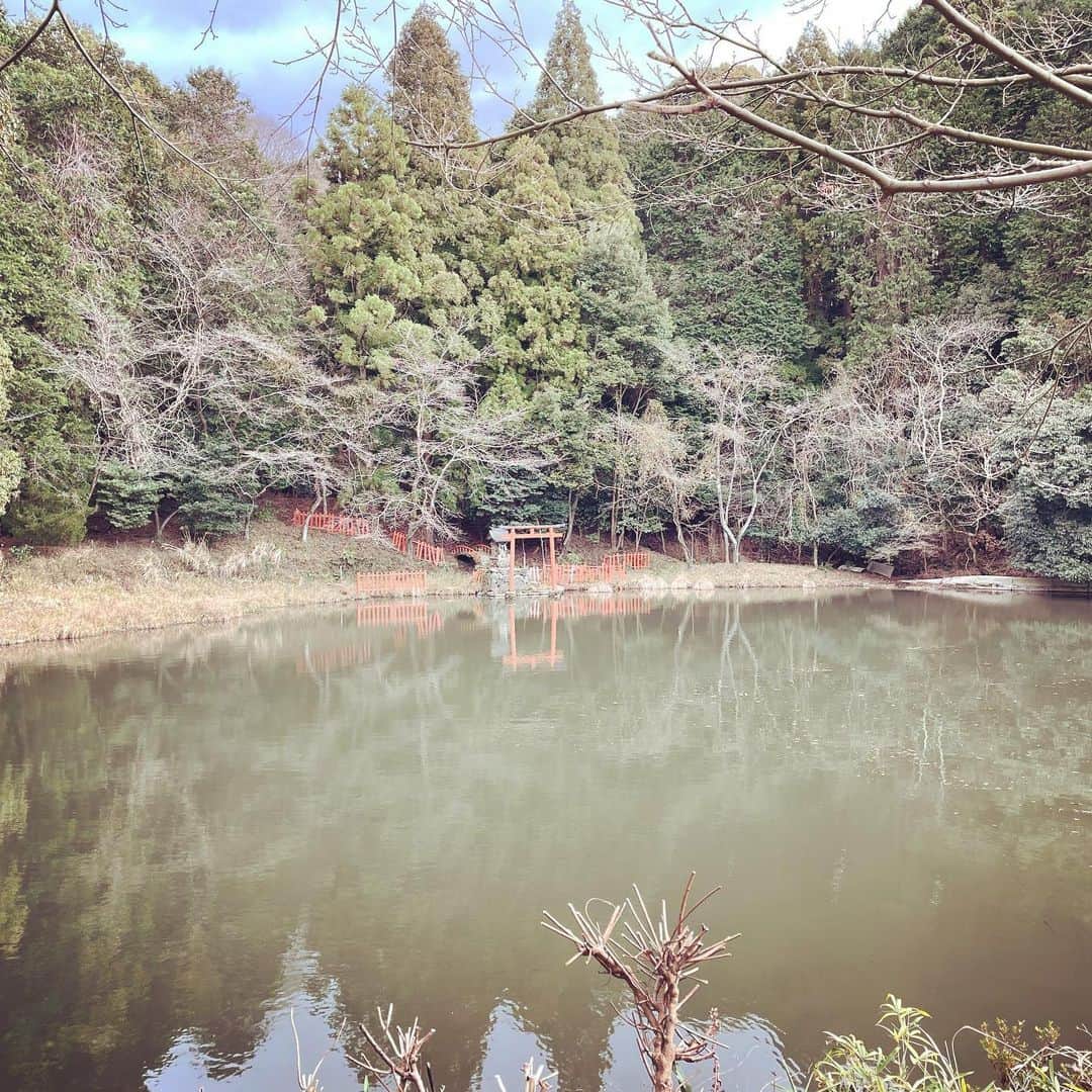 宮田麺児さんのインスタグラム写真 - (宮田麺児Instagram)「龍神様。 はやくまたお参りに行きたい。  大神神社　おく　山の辺  #パワースポット #パワースポット巡り #龍神 #龍神様 #三輪山 #大三輪##」1月29日 14時26分 - miyatamenji