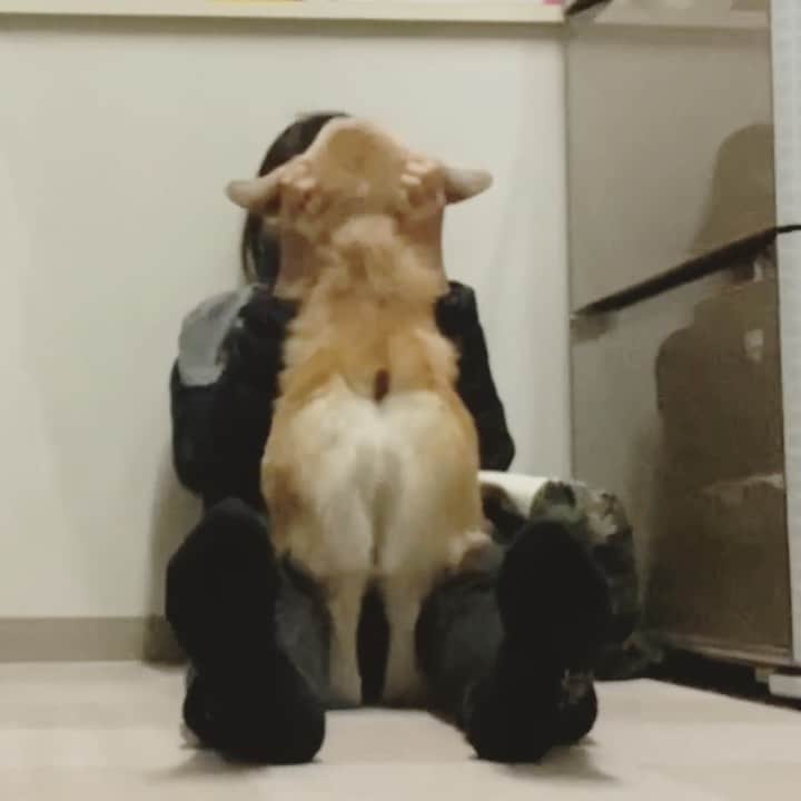 さゆりのインスタグラム：「◡̈⋆2021.1.29.Fri.◡̈⋆ I miss you, Mom.😅😂❤️ * うれしい おしり😅😂🤣🤣🤣👌 * * * * * *」