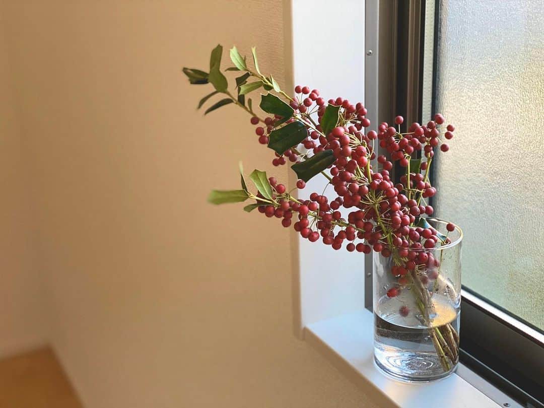 のインスタグラム：「所持品0から100日生活78〜86日目。﻿ ﻿ 78日目　フェイスシェーバー﻿ 79日目　花瓶﻿ 80日目　頭痛薬﻿ 81日目　小さいスプーン﻿ 82日目　部屋着ゆるズボン﻿ 83日目　アイブロウパウダー﻿ 84日目　『世界をきちんとあじわうための本』﻿ 85日目　コロコロ﻿ 86日目　あらびき胡椒﻿ ﻿ ﻿ テーマは、どう暮らしたいか。必需品だけだと「暮らし」にならない。花瓶がほしくなった。﻿ ﻿ 80日目、頭痛に悩まされた。はじめてなにが欲しいか考えることを少し面倒に感じた。まだまだ足りないものがあるのに。﻿ 「欲しい」って、じつは疲れる。﻿ ﻿ ﻿ 詳しくはこちらにまとめています✏️﻿ https://note.com/fujiokaminami﻿ ﻿ ﻿ #100日間のシンプルライフ #ライフスタイル #生活 #シンプリスト #ミニマリスト #断捨離 #シンプルライフ #縄文」