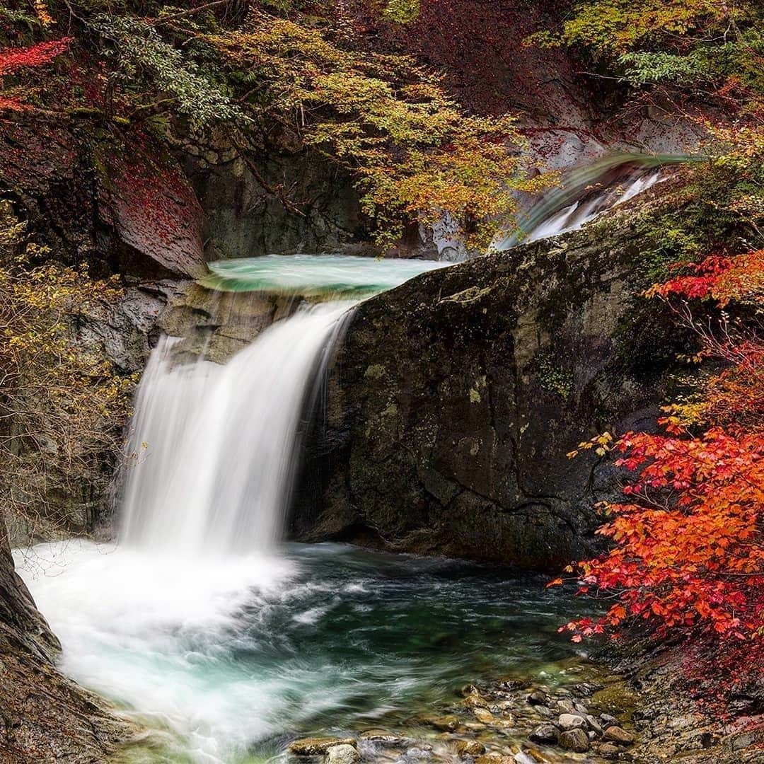 日本の国立公園さんのインスタグラム写真 - (日本の国立公園Instagram)「Photo by @mabuse.m__m⠀ https://www.instagram.com/p/CInRyrShQSP/⠀ .⠀ #秩父多摩甲斐国立公園⠀ #ChichibuTamaKaiNationalPark⠀ .⠀ On our Instagram, we will also share wonderful photos of National Parks of Japan posted on Instagram with the tag #nationalparksjp. We look forward to your participation!⠀ .⠀ #NationalPark #nationalparks #nature #findyourpark #instafollow #japan #landscape #landscape_lovers #ourplanetdaily #landscapephotography #hiking #outdoors #traveling #travel #explore #visitjapanjp #日本 #國家公園 #일본 #국립공원 #国立公園」1月29日 15時00分 - nationalpark_japan