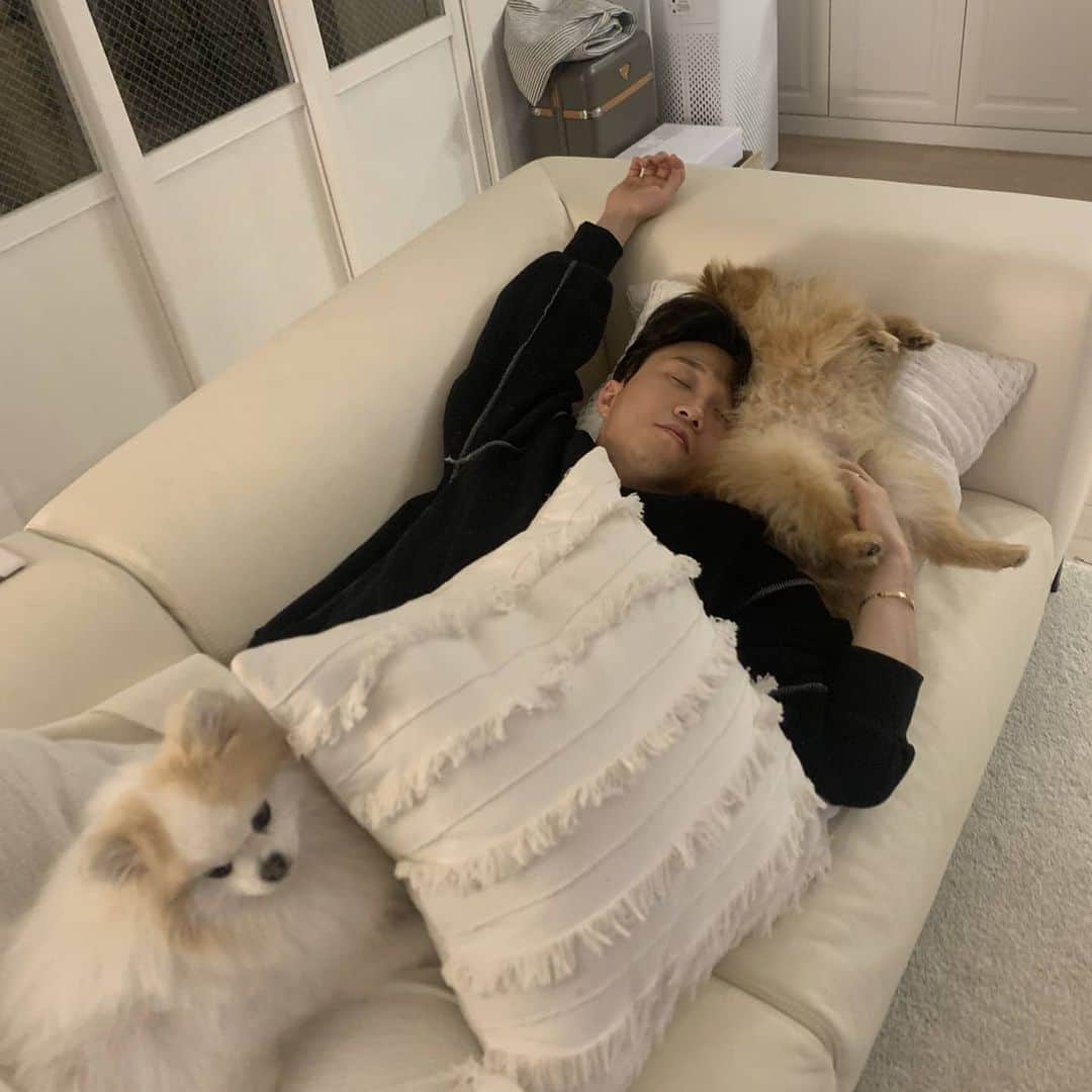 パク・ソングァンのインスタグラム：「## #소파와 한 몸  #강아지와 한 몸  나도 이런다는 사람 손✋ ㅋㅋㅋㅋㅋ」