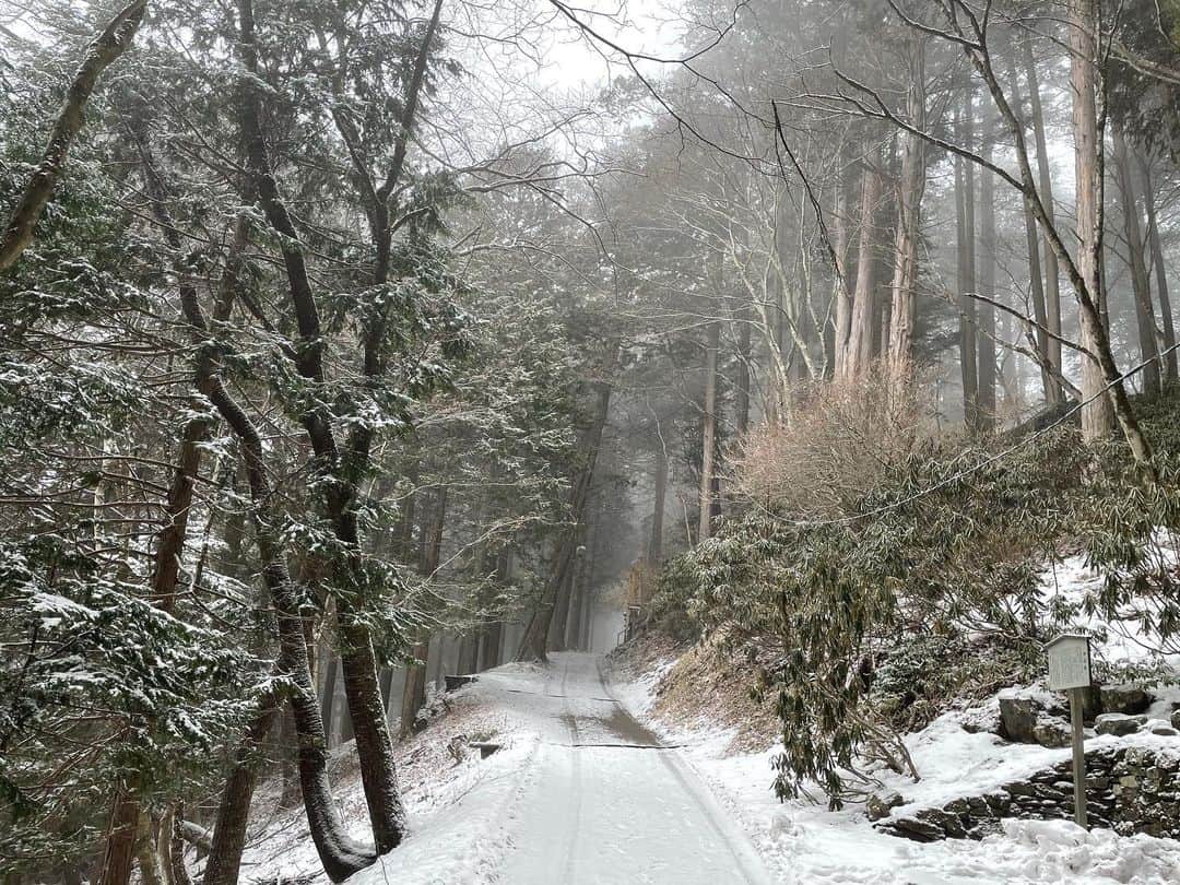 久保田和靖さんのインスタグラム写真 - (久保田和靖Instagram)「こちらは 大雪です。  捜さないでください。 さよおなら。  調子わるいので ここまで。」1月29日 15時41分 - kubotakazunobu