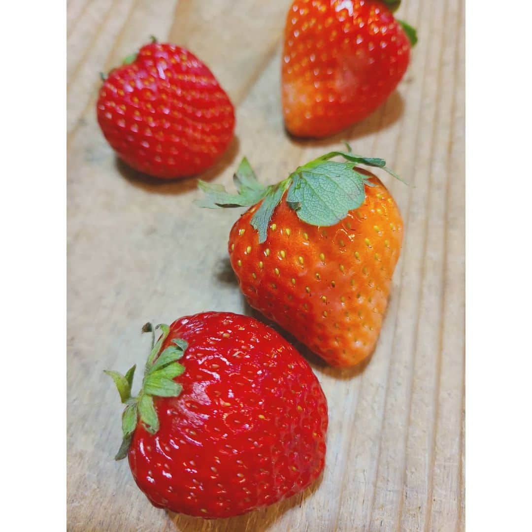 中村まきのインスタグラム