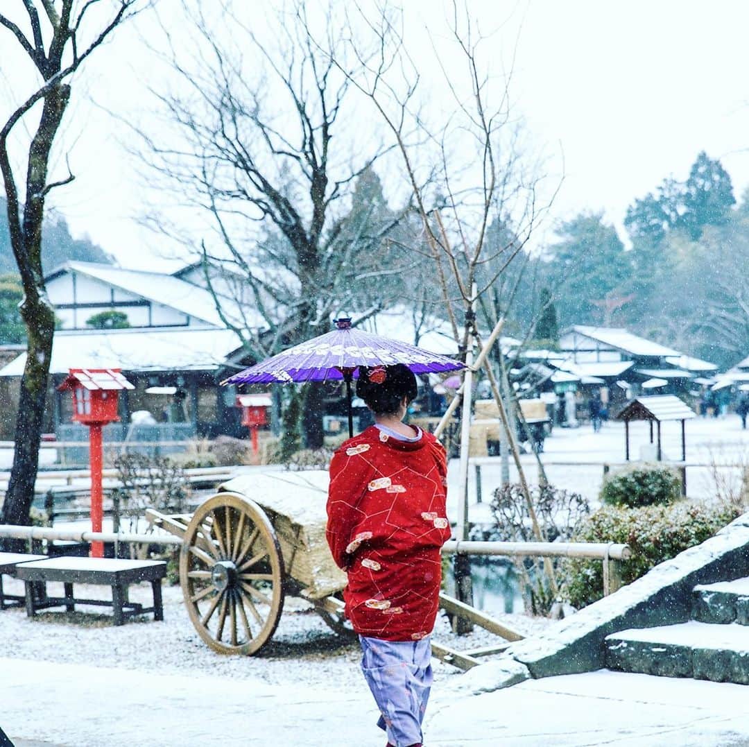 江戸ワンダーランド 日光江戸村のインスタグラム：「・ 雪の華  winter flower❄️ 江戸に咲く雪の華。Winter flowers blooming in Edo. ・ 江戸ワンダーランド日光江戸村は、1月13日（水）より当面の間、臨時休業とさせていただいております。再開日につきましては、2月7日以降を予定しております。今後の状況を鑑みながら、お客様や従業員の健康面と安全面を第一に考慮して慎重に判断し、改めて公式サイトにてご案内致します。 ・ Temporary closure from January 13. We will be closed for an indefinite period. Once confirmed we will announce reopening date through our website. ・ ・ #edo #いざ江戸へドロン  #edowonderland #江戸ワンダーランド日光江戸村」
