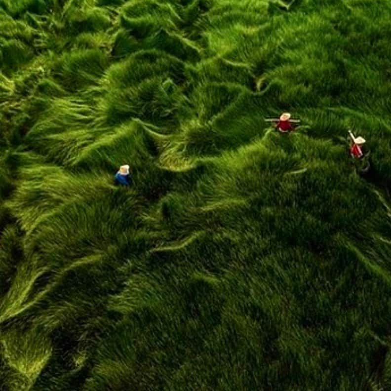 ケイティ アーリーのインスタグラム：「🌿」