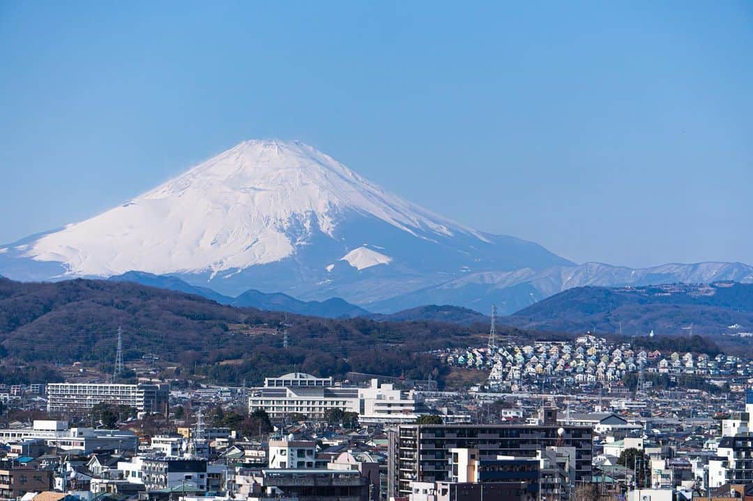 平塚市さんのインスタグラム写真 - (平塚市Instagram)「* 晴れたー！ 青空をバックに写真を撮ると 何でも映えてしまう気がする… 今週ラストは、富士山の 見事な雪化粧をお届けします。 みなさま、よい週末を！ *** #手をつなぎたくなる街 #hiratsukagood #hiratsuka#平塚 #富士山#富士#🗻 #富士見百景 #mtfuji#fujiyama #mtfujipic #mtfujiphoto_ig #worldheritage #fugaku#屋上 #平塚市役所 #週末の過ごし方 #日々#暮らし #instagramjapan#igersjp」1月29日 17時00分 - hiratsukagood