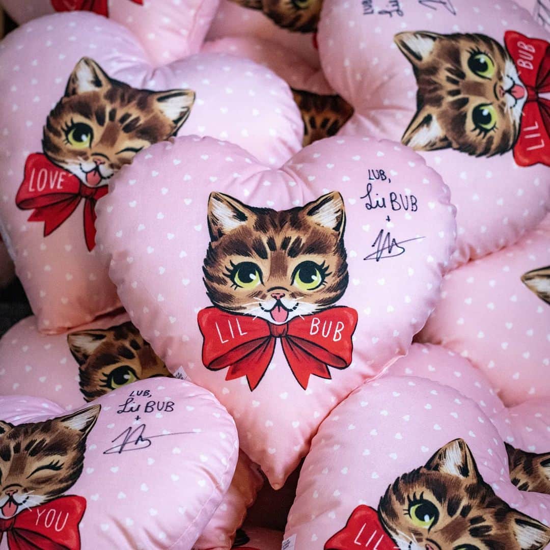 Lil BUBさんのインスタグラム写真 - (Lil BUBInstagram)「The cutest BUB Valentine’s Gifts of all time are now in-stock and shipping! Get em before they’re gone at the link in our bio (www.lilbub.com/store)  A portion of all proceeds benefits our non-profit, Lil BUB’s Big FUND for special needs pets. #lilbub」1月30日 2時57分 - iamlilbub
