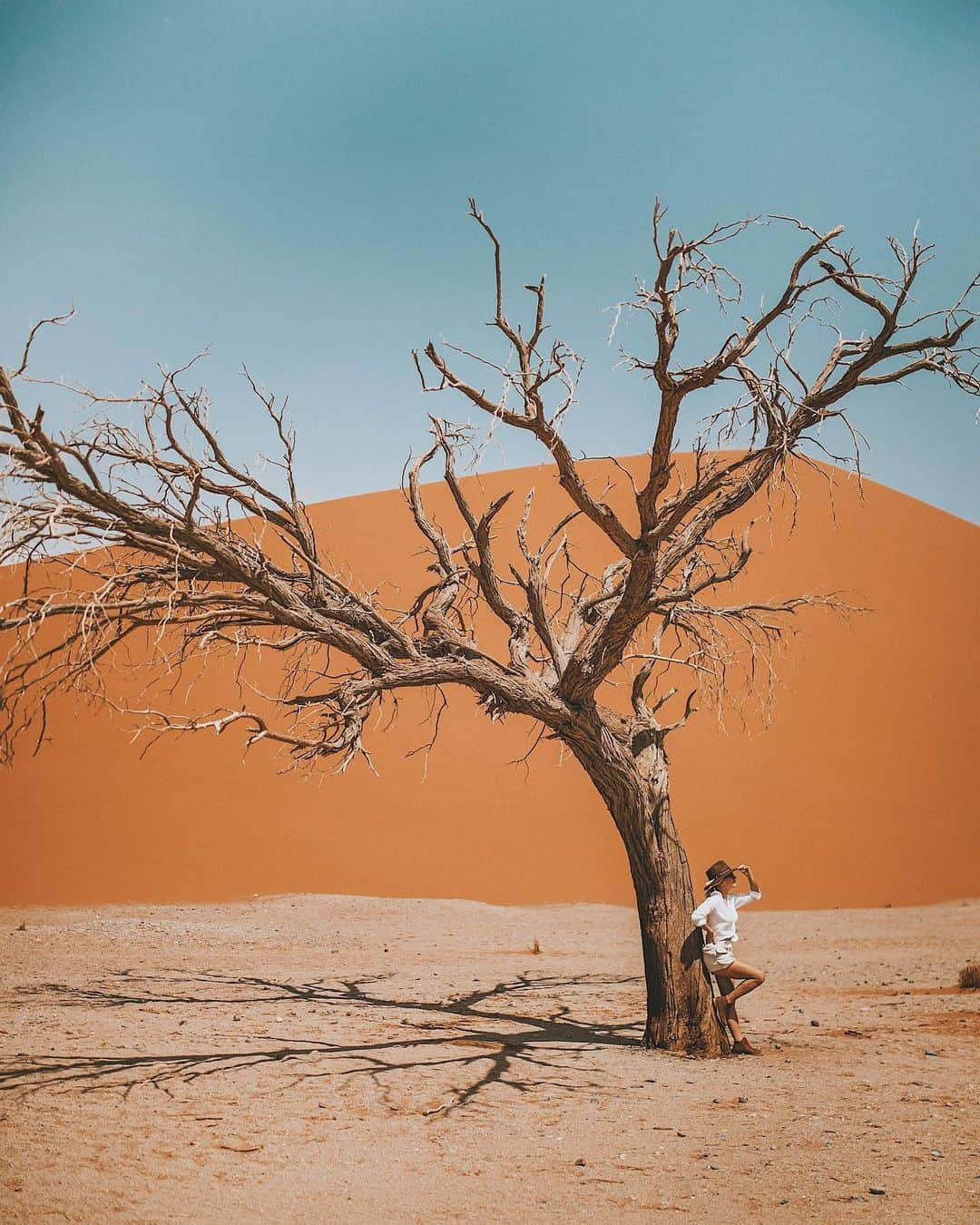 アギーさんのインスタグラム写真 - (アギーInstagram)「‘To live in the world but not be of it’. That’s the goal. The goal isn’t to lock yourself up in the desert or move to a tropical island, eating smoothie bowls (at least not for me and not for Thoreau). ::::: The goal is to nibble on solitude and nature to recharge yourself and bring the energy back to society, to contribute your talent, your light, your YOUniqueness, to be of service, to provide service for those with different set of skills. :::::: It’s easy to be a saint or feel enlightened when you’re on holidays, low key checked out from the society, from things and people that trigger you. The goal, again, is not to be a saint but face the life gracefully, truthfully and authentically:) :::::: * still I Can’t wait to be on the road again* photo by @moretti  #namibia #travel #africa #misstraveling」1月30日 3時26分 - aggie