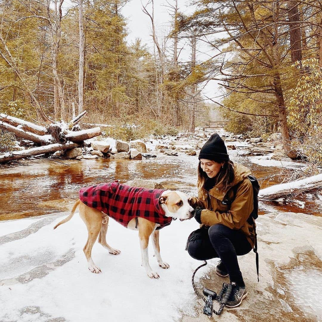 ペンフィールドのインスタグラム：「Ready, set, go. Weekend explorations. 🐶   RG @pondridgeny」