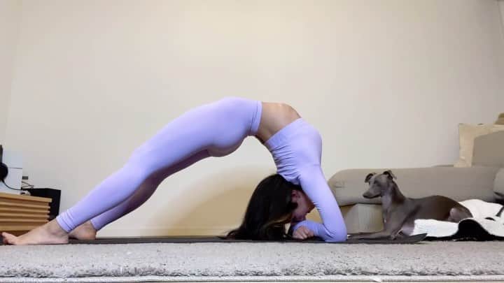 のインスタグラム：「わたしの毎日やる腰のストレッチ🧘‍♀️✨﻿ ﻿ 腰がやわらかいとポーズが変わる！頭とお尻がつくのが目標！﻿ ﻿ #training#workout#fitness#fitnessbikini#bikinifitness#fitnessmotivation#personaltrainer#fitgirl#筋トレ女子#パーソナルトレーナー#ボディメイク女子#ボディメイク#ビキニフィットネス」