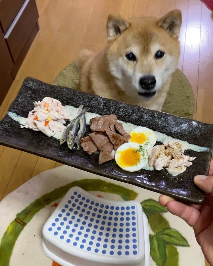 まる（まるたろう）のインスタグラム：「Friday night!!✨🐶🍖✨やほおおおお！！！！今日は「3種の神器」ならぬ #3種の神肉 #繰り越せるって最高かな #これはママに39兆ポイントあげるね #パパにはちゃんと伝えてくれたから #ありがとうんの意味も込めて #39ポイント #サンキューポイント追加しとくね #美味しゅうございました」